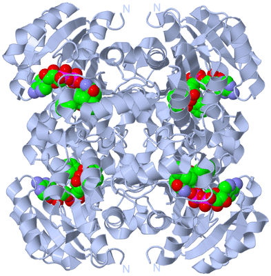 Image Biological Unit 1