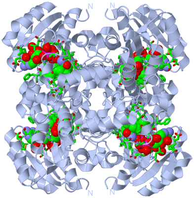 Image Biol. Unit 1 - sites