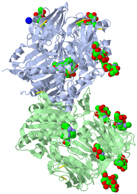 Image Asym./Biol. Unit