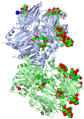 Image Asym./Biol. Unit - sites