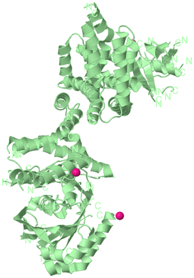 Image Biological Unit 2