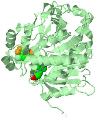 Image Biological Unit 2