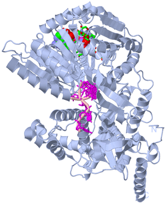 Image Biol. Unit 1 - sites