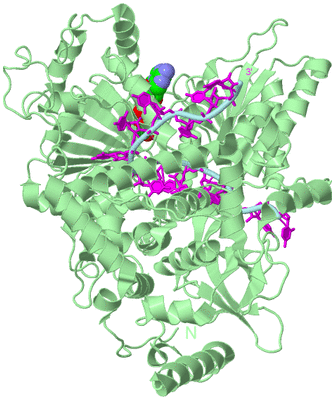 Image Biological Unit 2