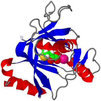 Image Asym./Biol. Unit