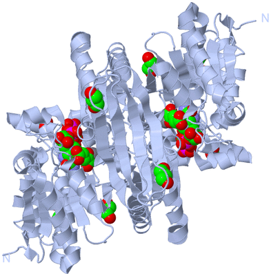 Image Biological Unit 1