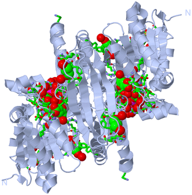 Image Biol. Unit 1 - sites