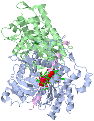 Image Biol. Unit 1 - sites