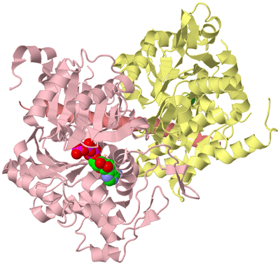 Image Biological Unit 2