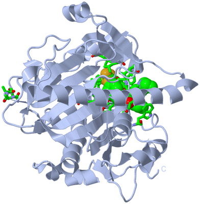 Image Biol. Unit 1 - sites