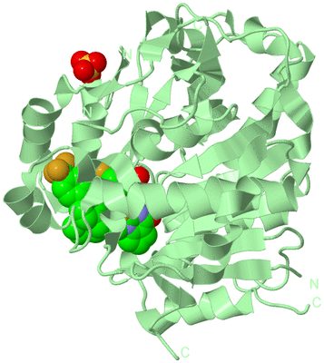 Image Biological Unit 2