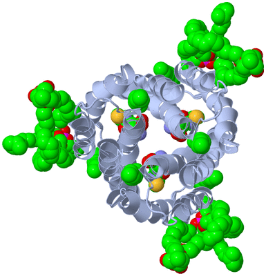 Image Biological Unit 1