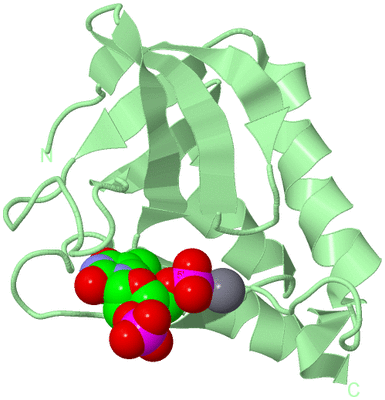 Image Biological Unit 1