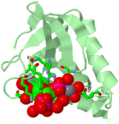 Image Biol. Unit 1 - sites