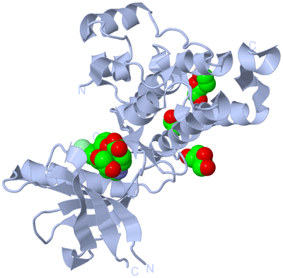 Image Biological Unit 1