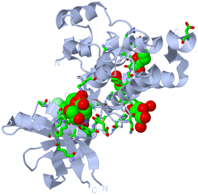 Image Biol. Unit 1 - sites