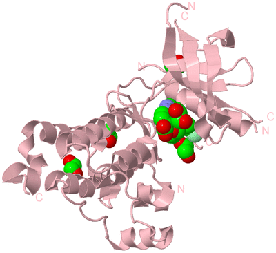 Image Biological Unit 3