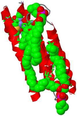 Image Asym. Unit - sites