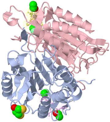 Image Asym./Biol. Unit