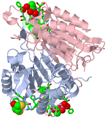 Image Asym./Biol. Unit - sites