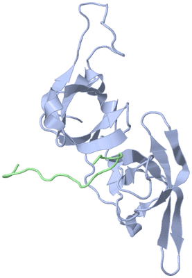 Image NMR Structure - model 1