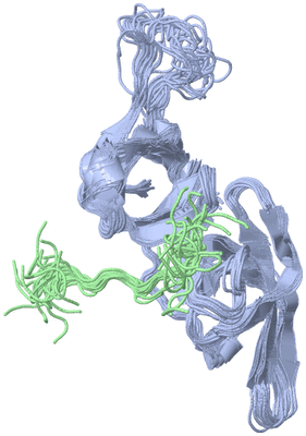 Image NMR Structure - all models