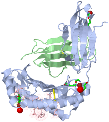 Image Biol. Unit 1 - sites