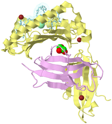 Image Biological Unit 2