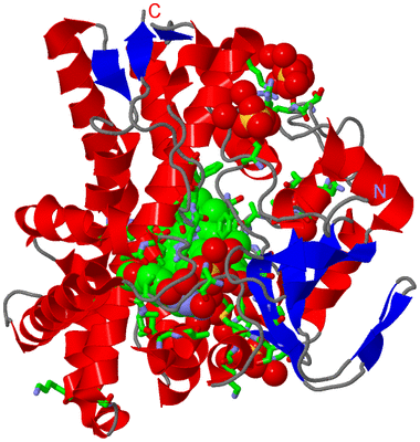 Image Asym./Biol. Unit - sites