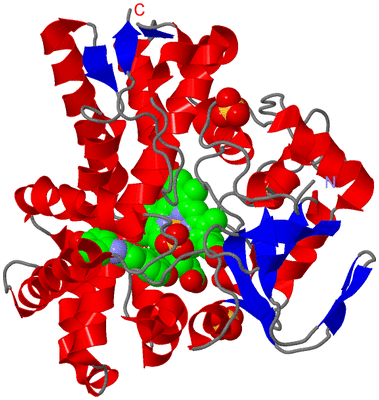 Image Asym./Biol. Unit