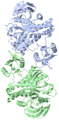 Image Asymmetric Unit