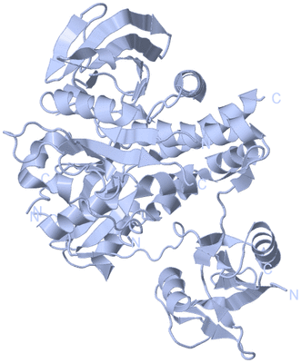 Image Biological Unit 1