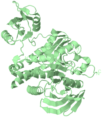 Image Biological Unit 2