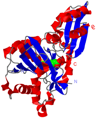 Image Asym./Biol. Unit