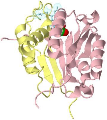 Image Biological Unit 2