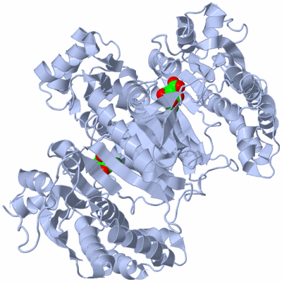 Image Biological Unit 1