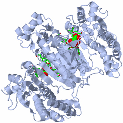 Image Biol. Unit 1 - sites