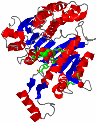 Image Asym. Unit - sites