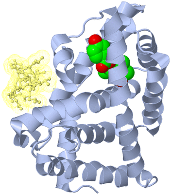 Image Biological Unit 1