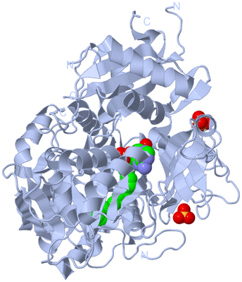 Image Biological Unit 1