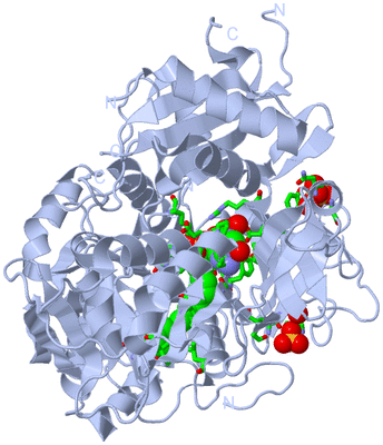 Image Biol. Unit 1 - sites