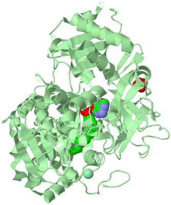 Image Biological Unit 2