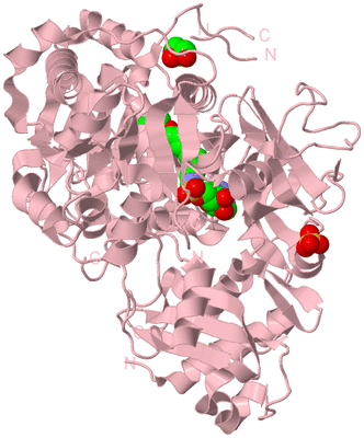 Image Biological Unit 3