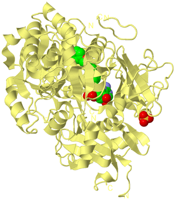 Image Biological Unit 4