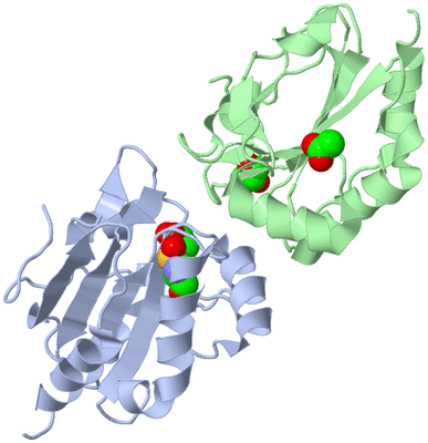 Image Biological Unit 1