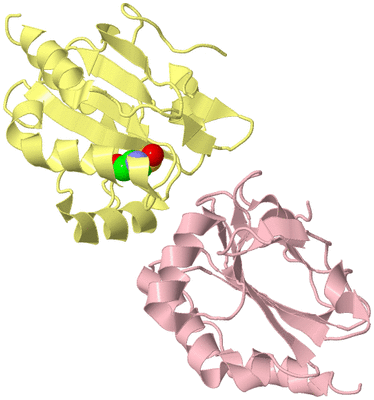 Image Biological Unit 2