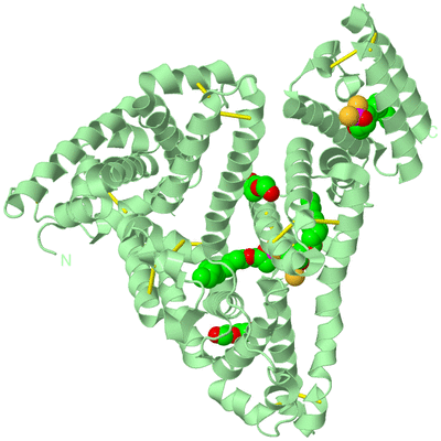 Image Biological Unit 2