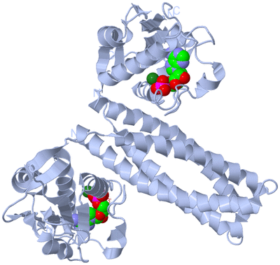 Image Biological Unit 1