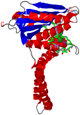 Image Asym. Unit - sites