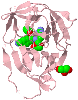 Image Biological Unit 3